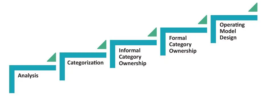 Procurement Category Management Evolution